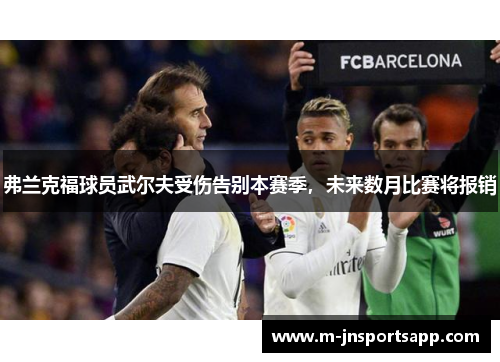 弗兰克福球员武尔夫受伤告别本赛季，未来数月比赛将报销
